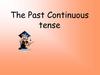 The past continuous tense