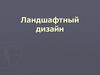Ландшафтный дизайн