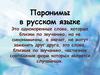 Паронимы в русском языке
