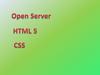 OpenServer – программа, позволяющая запускать на компьютере локальный web‐сервер