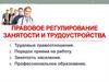 Правовое регулирование занятости и трудоустройства