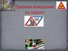 Правила поведения на дороге