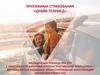 Драйв Телемед. Программа страхования