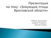 Зимующие птицы Ярославской области