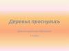 Деревья проснулись