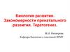 Биология развития. Закономерности пренатального развития. Тератогенез