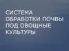 Система обработки почвы под овощные культуры
