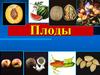 Плоды