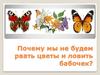 Почему мы не будем рвать цветы и ловить бабочек?
