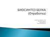 Биосинтез белка