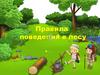 Правила поведения в лесу
