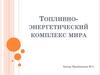 Топливно-энергетический комплекс мира
