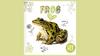 Frog life cycle book interactive