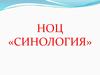 НОЦ «Синология»
