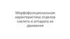 Морфофункциональная характеристика отделов скелета и аппарата их движения. Тема 7