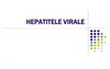 Hepatitele virale