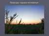 Природы чудные мгновенья