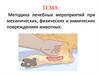 Методика лечебных мероприятий при механических, физических и химических повреждениях животных