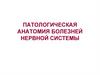 Патологическая анатомия болезней нервной системы