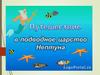 Подводное царство Нептуна (ИЗО, 7 класс)