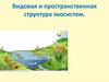 Видовая и пространственная структура экосистем