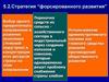 Стратегия “форсированного развития”