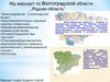 Жд маршрут по Волгоградской области: ,,Родная область”