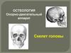 Остеология. Опорно-двигательный аппарат. Скелет головы