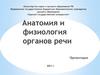 Анатомия и физиология органов речи