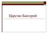 Царство Бактерий