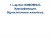 Царство Животные. Классификация. Одноклеточные животные