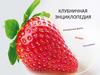 Клубника. История, загадки