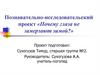 Почему глаза не замерзают зимой. Познавательно-исследовательский проект дошкольника