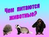 Типы питания животных