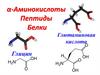 α-Аминокислоты