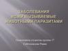 Заболевания кожи,вызываемые животными-паразитами