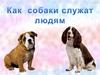 Как собаки служат человеку