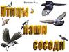 Волкова Н.А. Птицы - наши соседи