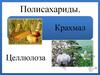 Полисахариды. Крахмал Целлюлоза. 10 класс