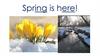 Spring is here! English. Grammar