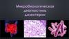 Микробиологическая диагностика дизентерии
