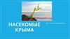 Насекомые Крыма
