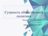 Сущность общественной политики