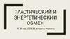 ПЛАСТИЧЕСКИЙ И ЭНЕРГЕТИЧЕСКИЙ ОБМЕН