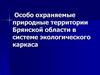 Особо охраняемые природные территории Брянской области в системе экологического каркаса