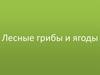 Лесные грибы и ягоды