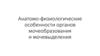 Анатомо-физиологические особенности органов мочеобразования и мочевыделения. Выделительные структуры и органы человека