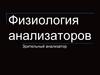 Зрительный анализатор