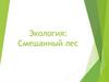 Экология: Смешанный лес