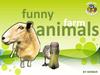 Funny domestic animals